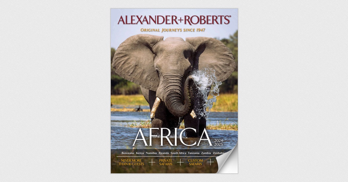 THE HONEY BADGER - Royal African Safaris