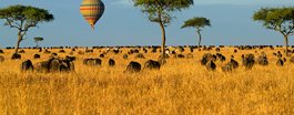On Safari in Kenya + Tanzania