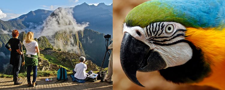Machu Picchu + Reserva Amazonica (2027 Itinerary)