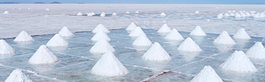 Bolivia Sojourn