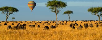 On Safari In Kenya + Tanzania