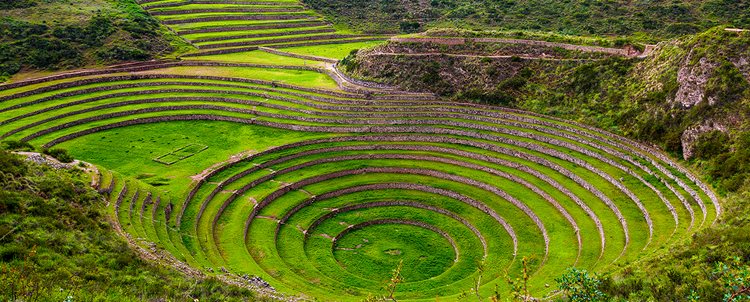 Walking in the Andes