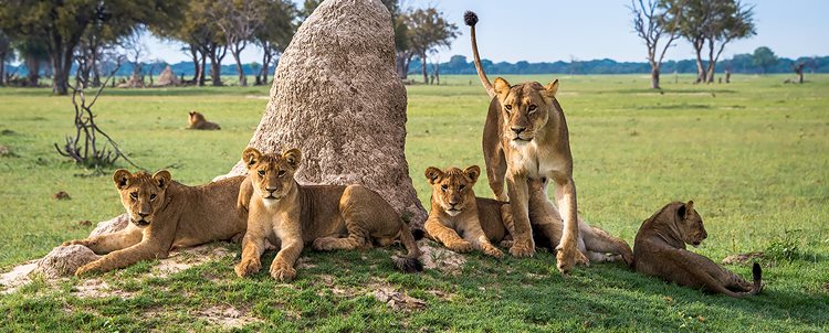 Zimbabwe In-Style 9 Days