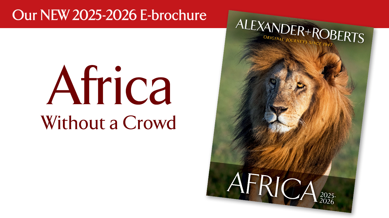 Over 20 African Safaris