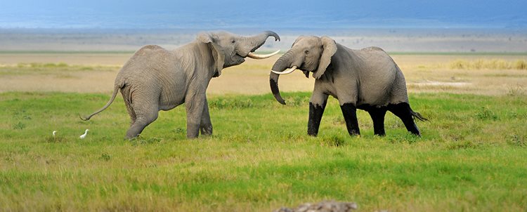 Kenya And Ancient Egypt