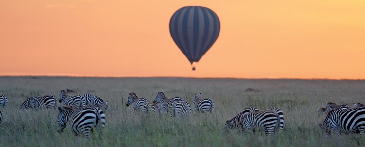 On Safari in Kenya + Tanzania