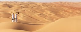The United Arab Emirates with Qasr al Sarab 