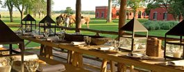 Gaucho Experience on an Estancia