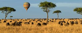 On Safari in Kenya + Tanzania