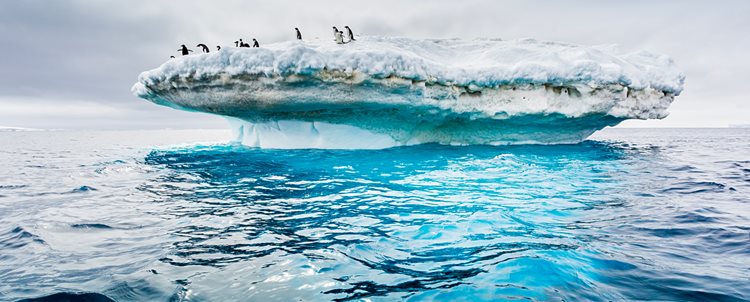 Crossing the Antarctic Circle aboard the <i>Ocean Albatros</i> or <i>Ocean Victory</i>