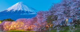 From Japan’s Inland Sea to the Alps