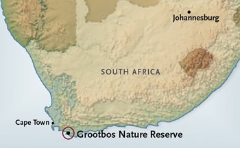 South Africa Map