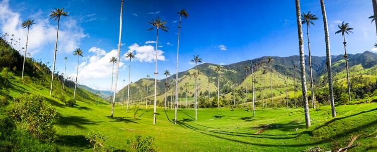 Enchanting Colombia With The Coffee Triangle