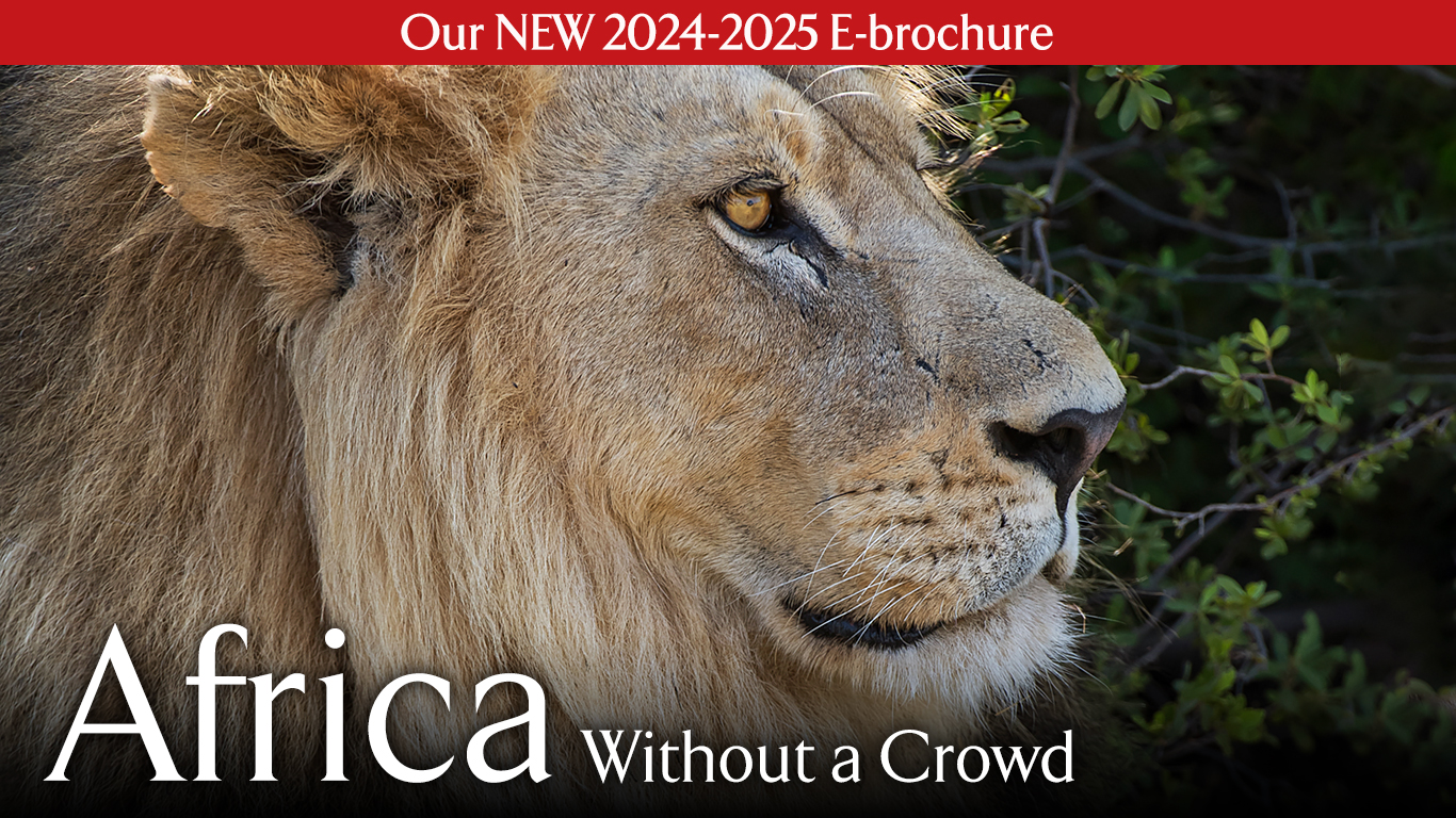 Over 20 African Safaris