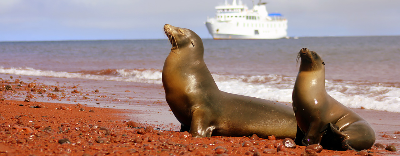 Pay-In-Full Savings - Galapagos