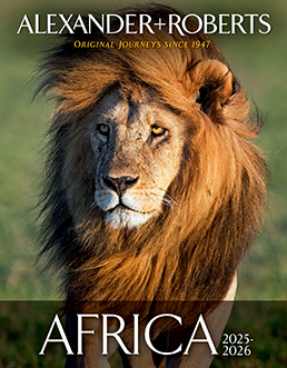 Africa
