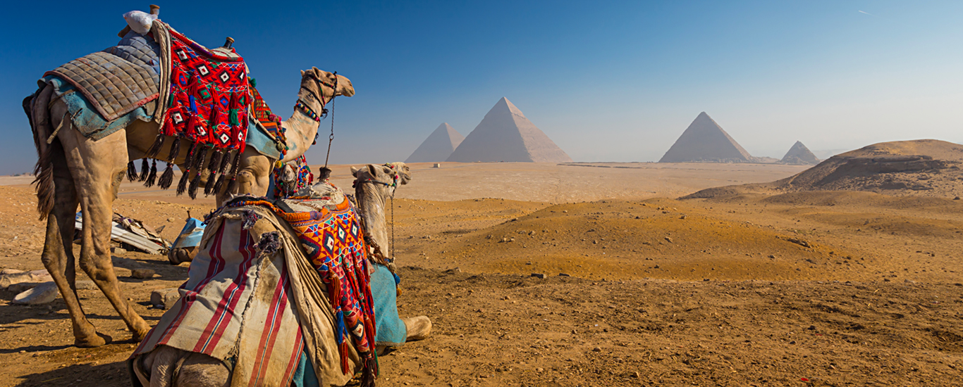 Pay-In-Full Savings - Egypt