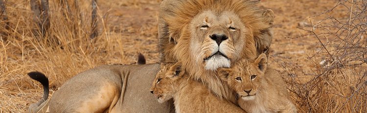 One Week in Kenya