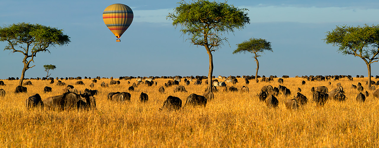 On Safari Kenya tanzania