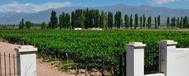 Mendoza