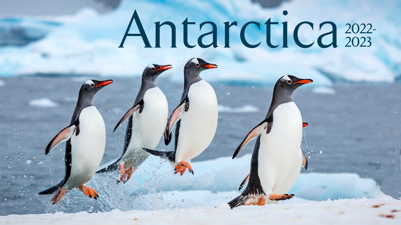 Our Antarctica e-brochure
