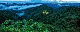 From the Rainforest to the Galapagos<br><font size="4">Hosted by our VP Beth Karlicek</font>