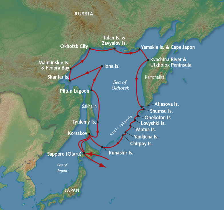 ���� �̹���