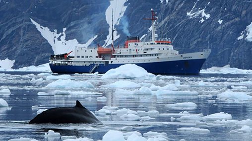 Antarctica MV Ushuaia