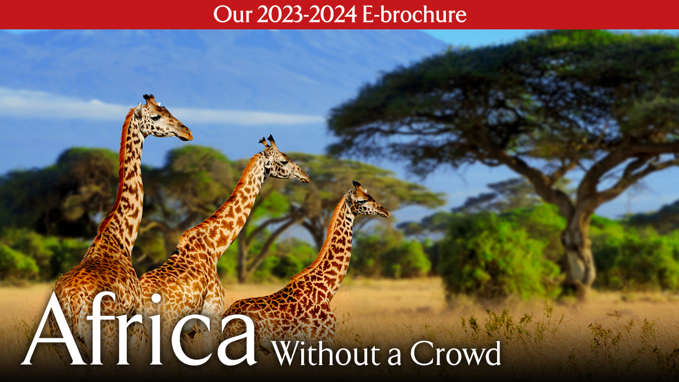 Over 20 African Safaris